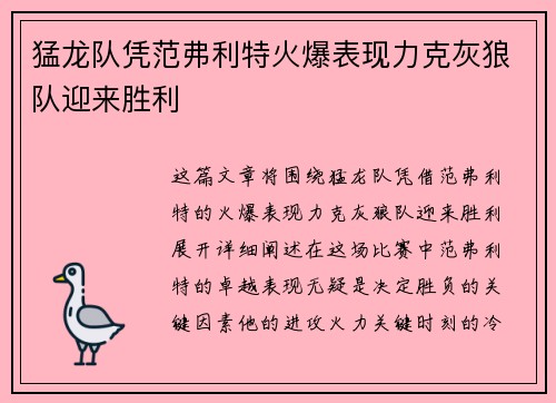 猛龙队凭范弗利特火爆表现力克灰狼队迎来胜利
